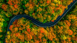 © foto8tik - Aerial view of thick forest in autumn with road cutting through