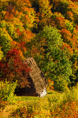 Beautiful autumn scenery with traditional straw roof house in Ap