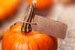 © nataliazakharova - Happy Thanksgiving holiday card with orange pumpkins and paper price tag, autumn shopping concept.