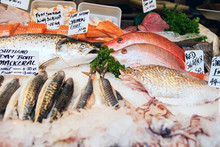 Freshly Caught Sea Fishes And Other Seafood On Display At Borough Market