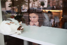 Girl Meet The Cat In The Cat Cafe