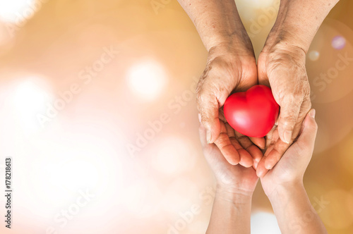Cuadros en Lienzo Elderly senior person or grandparent's hands with red heart in support of nursi