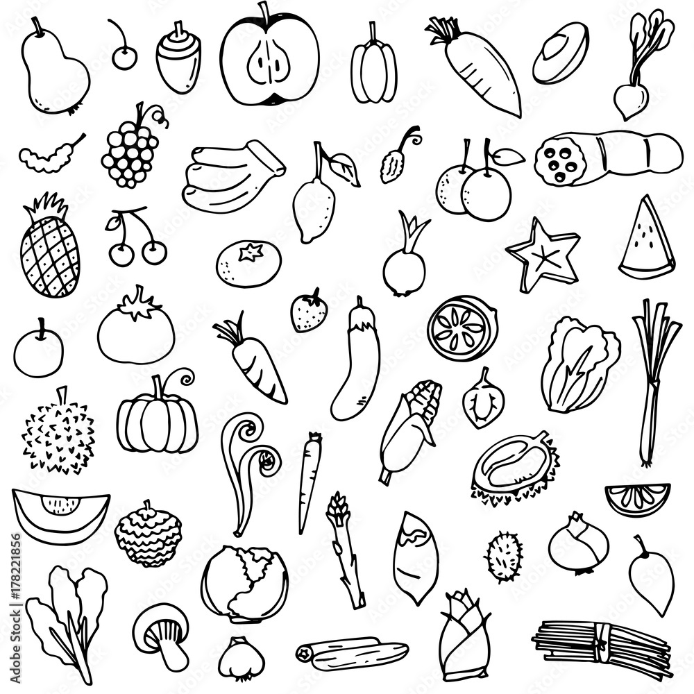 vector illustration set of fruits and vegetables doodle drawn in black  outline on white background Stock Vector | Adobe Stock, image size:1000x1000