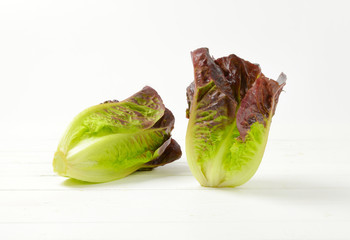 Poster - fresh Romaine lettuce