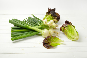 Poster - spring onions and lettuce