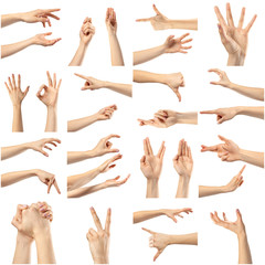 Collage of woman hands