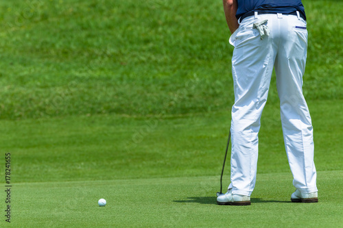 Plakat Golfer Green Putting Ball Rear