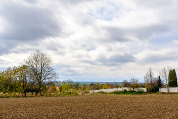 Wall Mural - Field near Prague