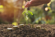 Pouring a young plant from hand with stack coins. Gardening and watering plants. Business growing concept.