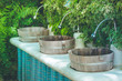 Tropical view row of wooden sinks & faucet in Japanese design with vertical plants wall background at outdoor garden.