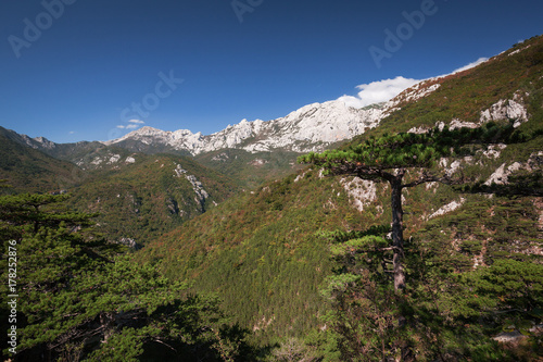 Fotografie, Obraz Velebit mountain in Paklenica National Park