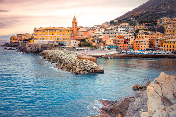 Nervi