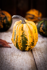 Wall Mural - Autumn Pumpkins Decoration