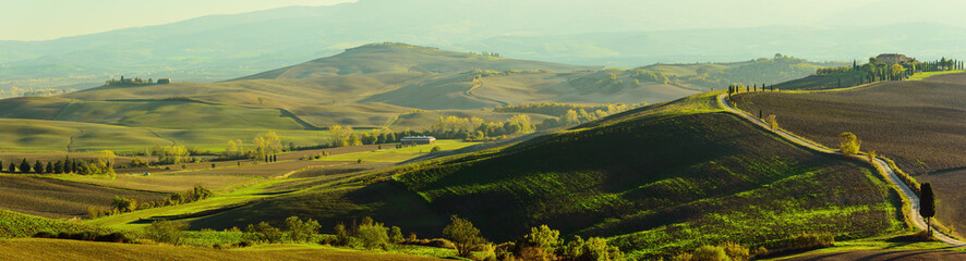 Wall Mural - Wavy fields in Tuscany at sunset, Italy. Panoramic view. Natural outdoor seasonal autumn background.