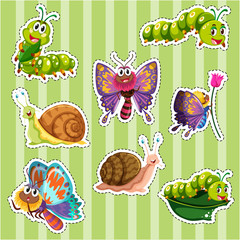 Wall Mural - Sticker set for different types of insects