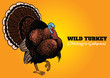 wild turkey in hand drawing style