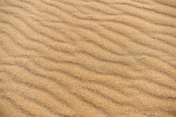  Sands on the beach. A beach is a landform along a body of water. It usually consists of loose particles, which are often composed of rock, such as sand, gravel, shingle, pebbles.