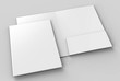 © godesignz - Blank white reinforced A4 single pocket folders on grey background for mock up. 3D rendering.