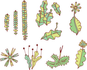 Wall Mural - Moss elements collection. Set of color doodle plants and branches. Vector illustration