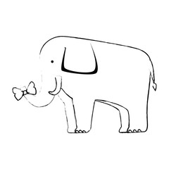 Wall Mural - wild elephant isolated icon