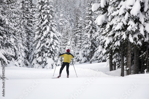 Zdjęcie XXL Biegi narciarskie