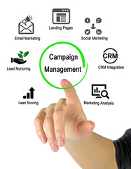 Wall Mural - campaign management