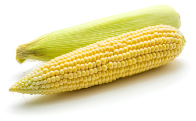 Two fresh corn isolated on white background