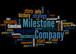 Company Milestone, word cloud concept 3