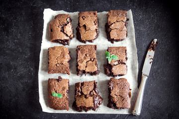 Canvas Print - Brownies