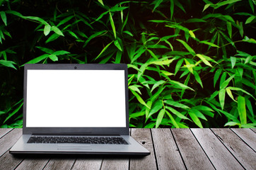 laptop computer with blank screen for presentation on wooden desk and dark bamboo leaves nature background, advertising, commercial, marketing, technology, internet and business concept