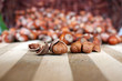Hazelnuts, filbert on old wooden background