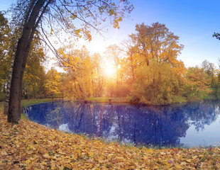 Wall Mural - Autumn park with the river.