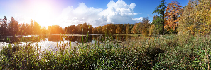 Wall Mural - Autumn park with the river.