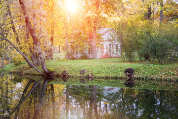 Wall Mural - Autumn tree with bright foliage is reflected in the lake