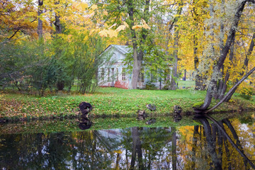 Wall Mural - Autumn tree with bright foliage is reflected in the lake