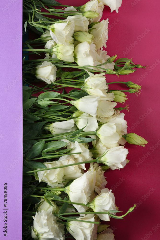 Composition with beautiful flowers on color background