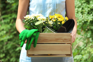 Wall Mural - Woman holding wooden box with gardening tools and plants outdoors