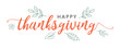 © IrisImages - Happy Thanksgiving Calligraphy Text with Illustrated Green Leaves Over White Background, Vector Typography