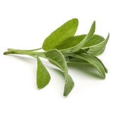 Wall Mural - Sage herb leaves  bouquet isolated on white background cutout.