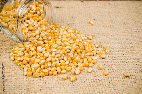 Zdjęcie XXL kupa suszonych nasion kukurydzy na worek worek