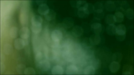 Wall Mural - abstract emeral green tone background for heavy rain fall with small bokeh light , bad weather day c