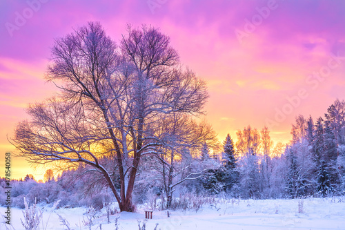 Foto-Schiebegardine ohne Schienensystem - winter landscape with forest, trees and sunrise (von yanikap)