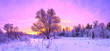 winter panorama landscape with forest, trees covered snow and sunrise.