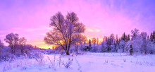 Winter Panorama Landscape With Forest, Trees Covered Snow And Sunrise.