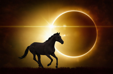 Poster - Black horse on total solar eclipse background