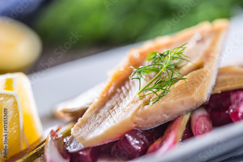 Zdjęcie XXL Pstrąg rybny. Porcja Wędzony filet z pstrąga z koprem warzywnym i cytryną. Ryba z sałatka jarzynowa na talerzu w hotelu lub restauracji