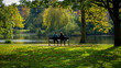© Maksims - couple of woman and man sitting on the bench in autumn sunny park
