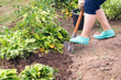 © Maksim Lobanov - Gardener digging with garden spade in black earth soil