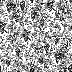 Canvas Print - seamless pattern with grape vine.