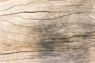 Wall Mural - Texture old wood , dirty surface wood background, hardwood